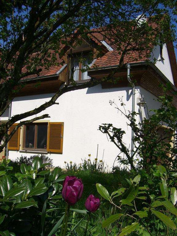 Ferienwohnung Lucia Huber الدنغن مولهوفن الغرفة الصورة